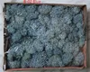 B-02 Blue