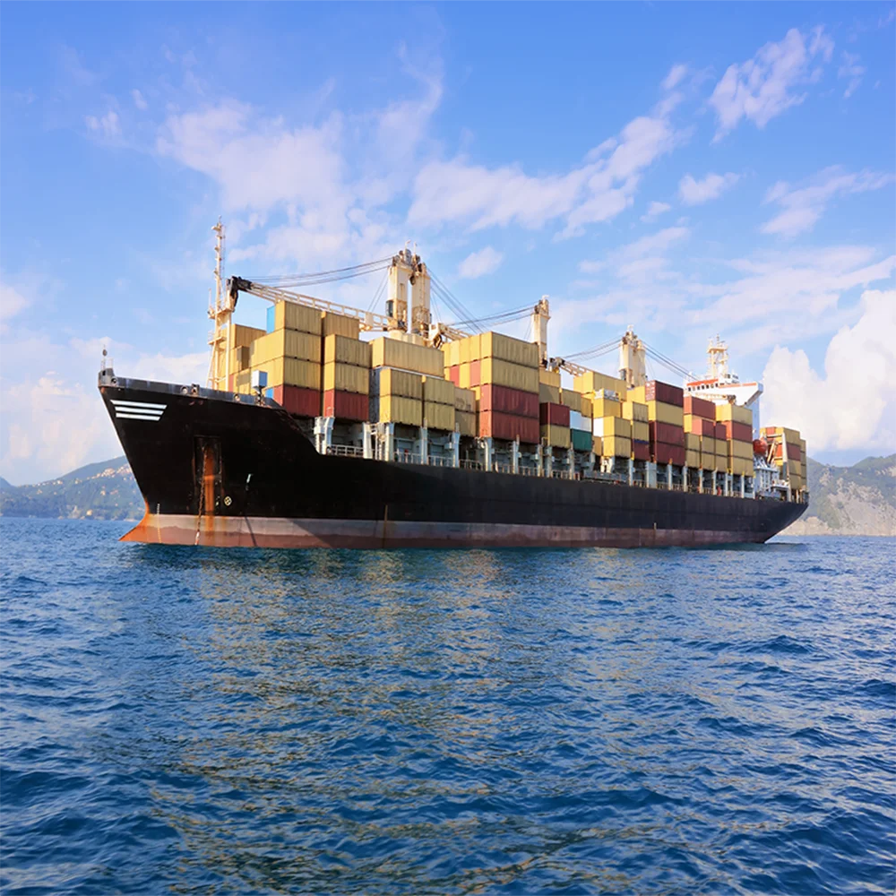 Sea Freight Forwarder Logistics Service Shipping Rates From China to India India Online Shopping