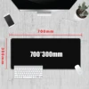 70*30cm