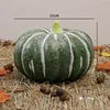 25cm green dwarf pumpkin with white stripes
