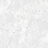 ZYX0101