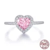 Rosa-SR082