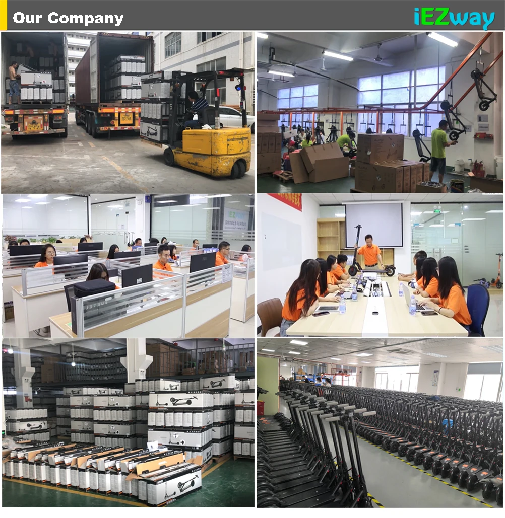 Our company1