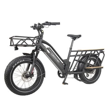 potable electric bike electric cargo electric bicycle 20inch rear rack e bike 500W big power two seat electric bike