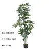 Nuevo Árbol del Dinero con Densidad Mejorada de 150cm