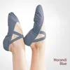 Morandi Blue