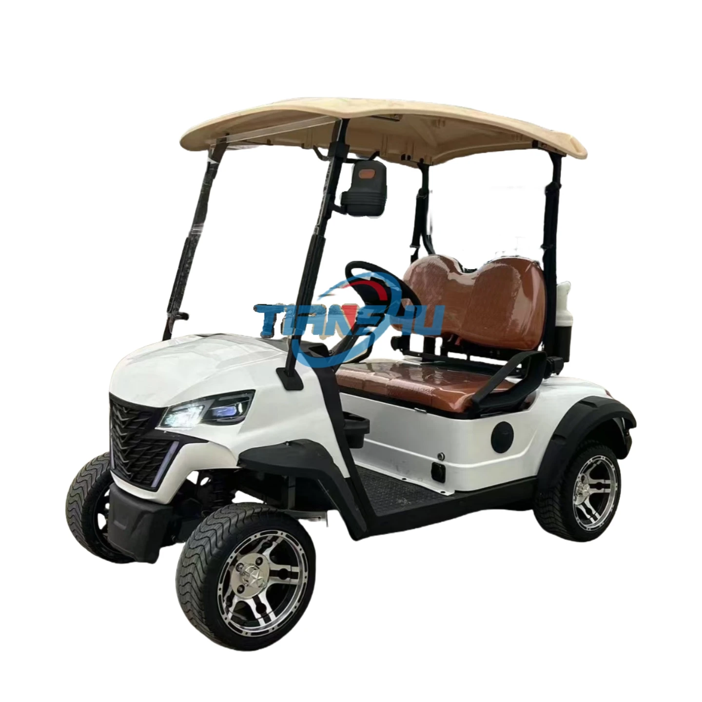 Cheap Golf Carts for Sale Seater Electric Buggies