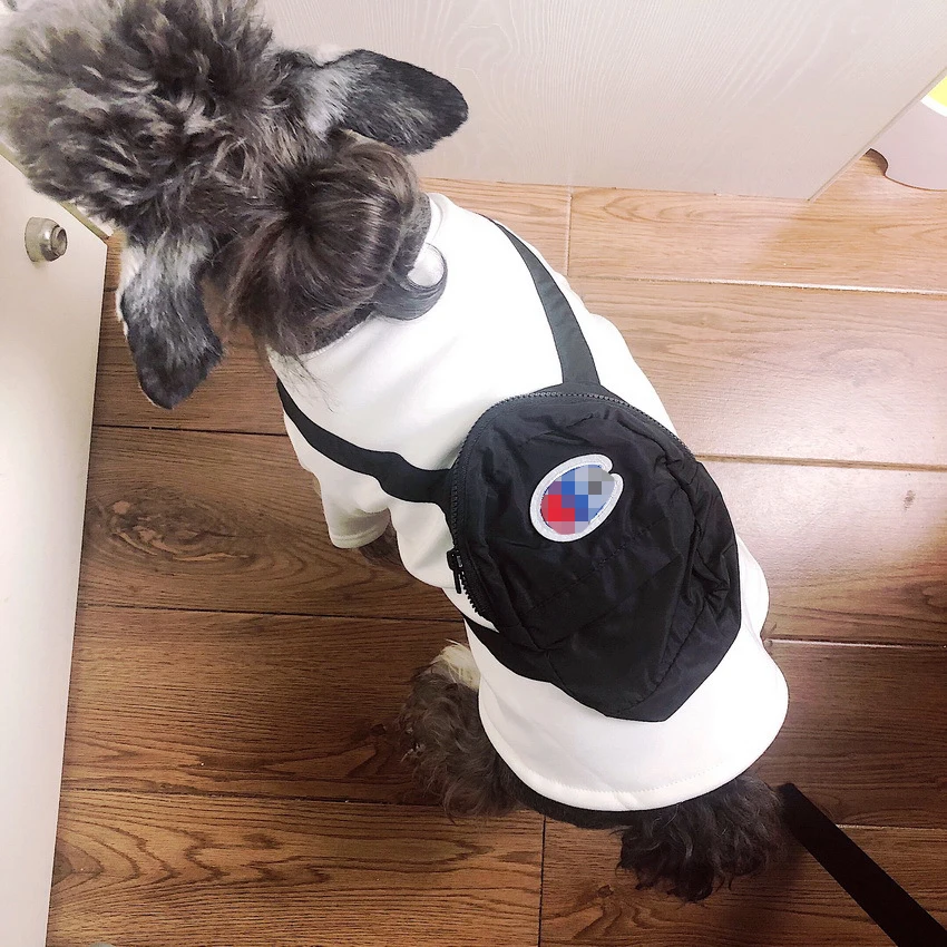 champion dog sweatshirt