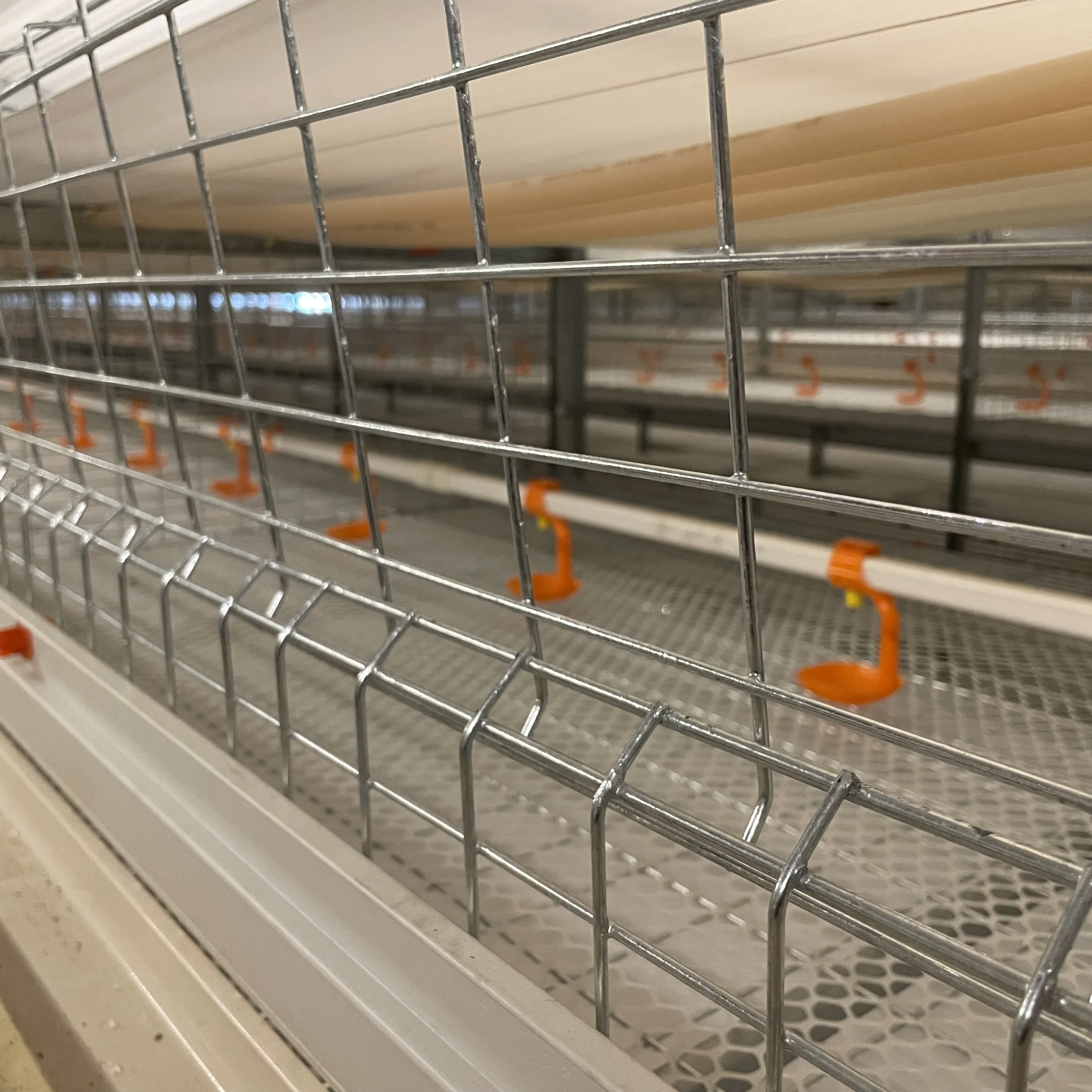 Broiler Cage Automatic h Shape with Trolley Feeding System Battery Cages for Poultry Broiler Long Life Chicken Broiler Cage
