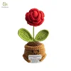 Rosa#18
