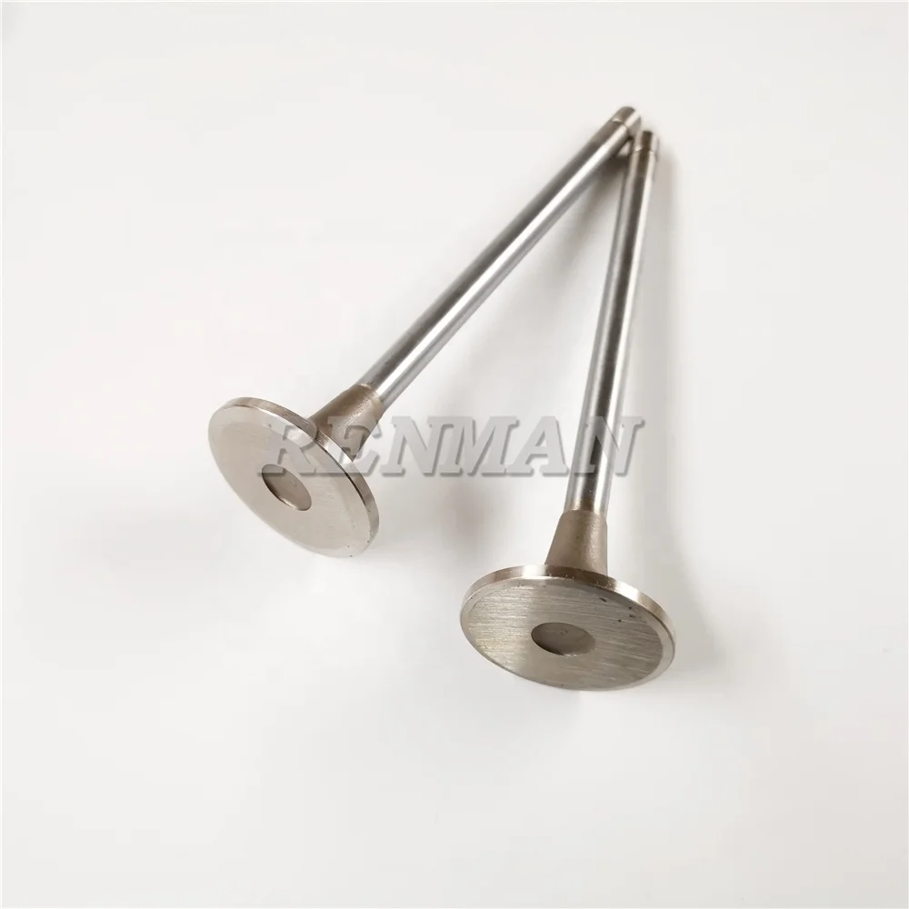 Cummins Engine M11 ISM11 QSM11 L10 Exhaust Valve 3417713 3033235 