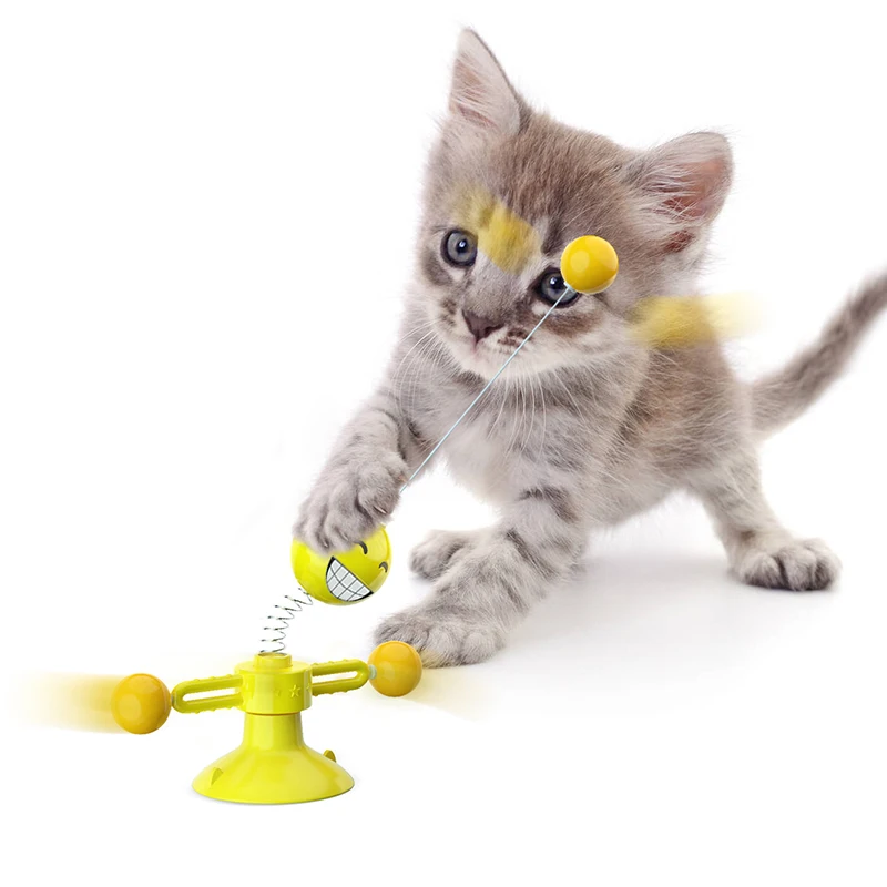 cat chasing toy