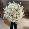 Bianco 1