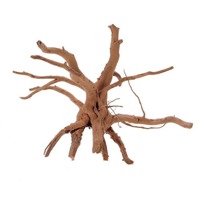 The Hardscape Guide to Spider Wood Driftwood (Azalea Root)