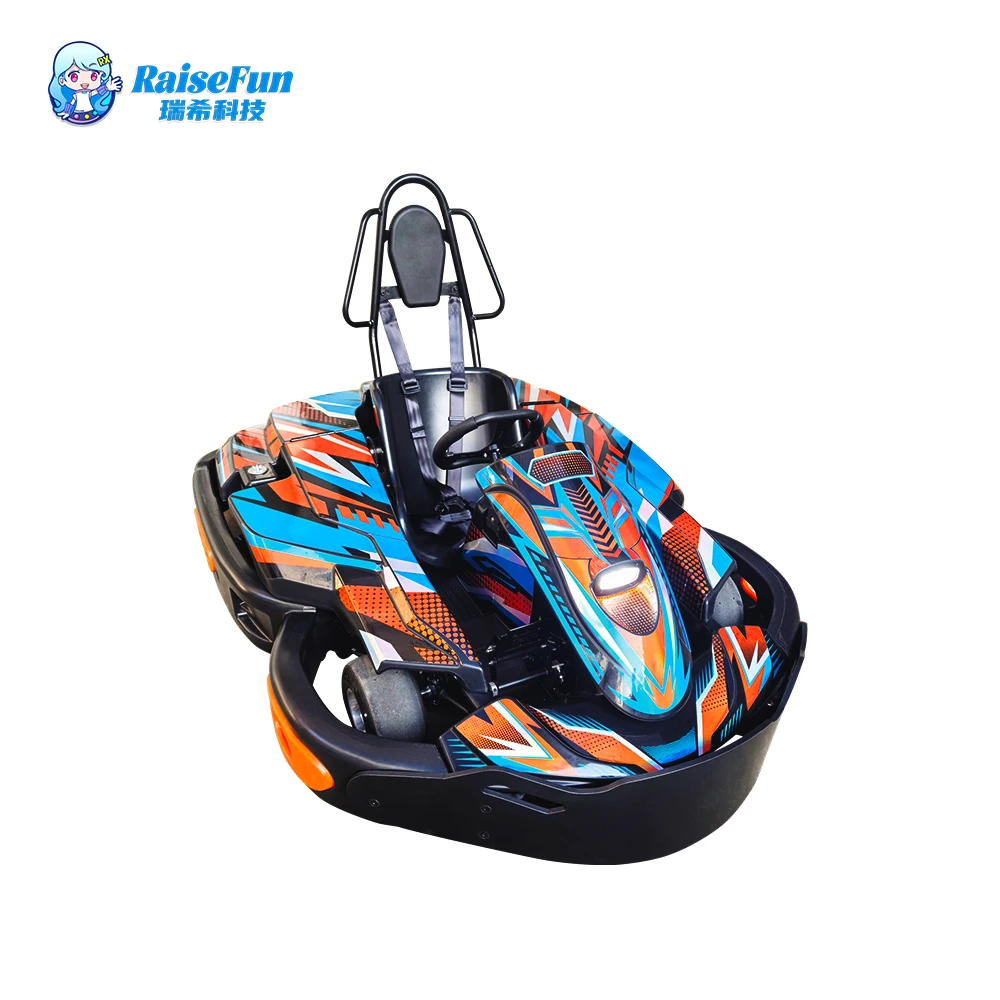 RaiseFun Adult Single-seater Gasoline Go-kart 200CC Indoor Outdoor Sports Commercial Petrol Karting High Performance Racing Car