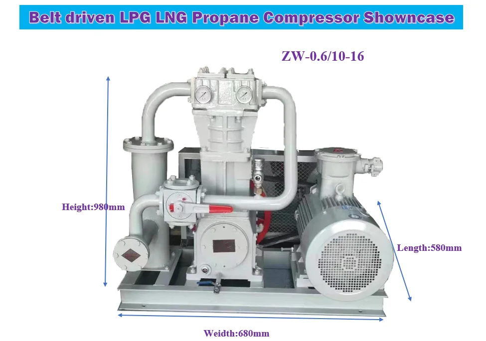 Reciprocating Natural Cas Compressor LPG Compresor for LPG Gas Transfer Kit