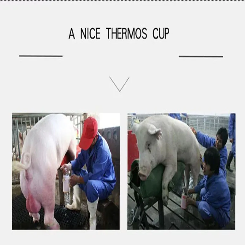 650ML Capacity Sperm Collecting Cup for Pig Cow Cattle Sheep Goat Artificial Insemination