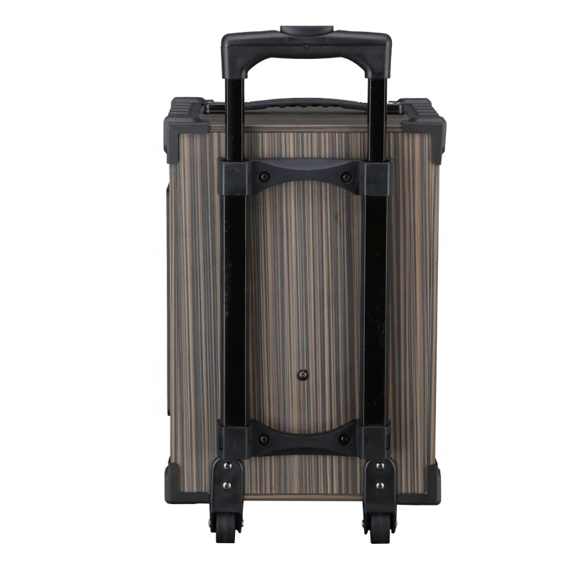 8 Inch Multi Function Big Wireless Speaker Outdoor Portable Wireless Trolley Speaker with Wireless Microphone and Remote