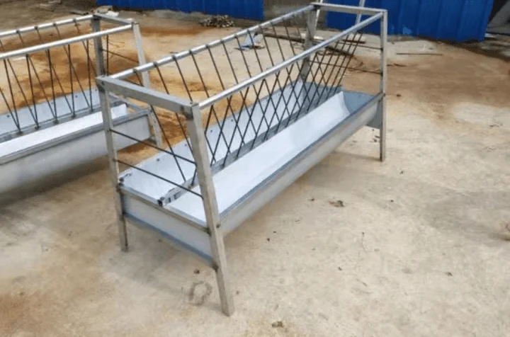 Show Rack Sheep Sheep Farm Equipment 1M 1.5M 2M Metal Galvanized Animal Sheep and Goat ...