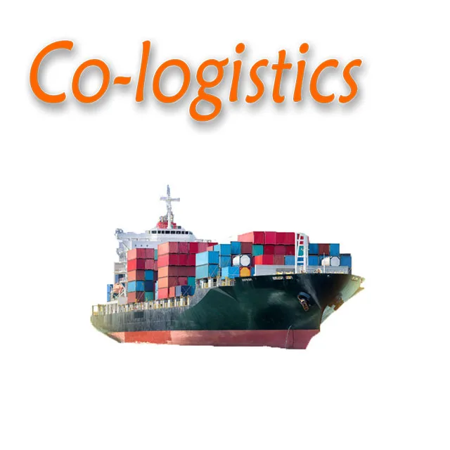 Shipping Forwarder Service From China to Mumbai India