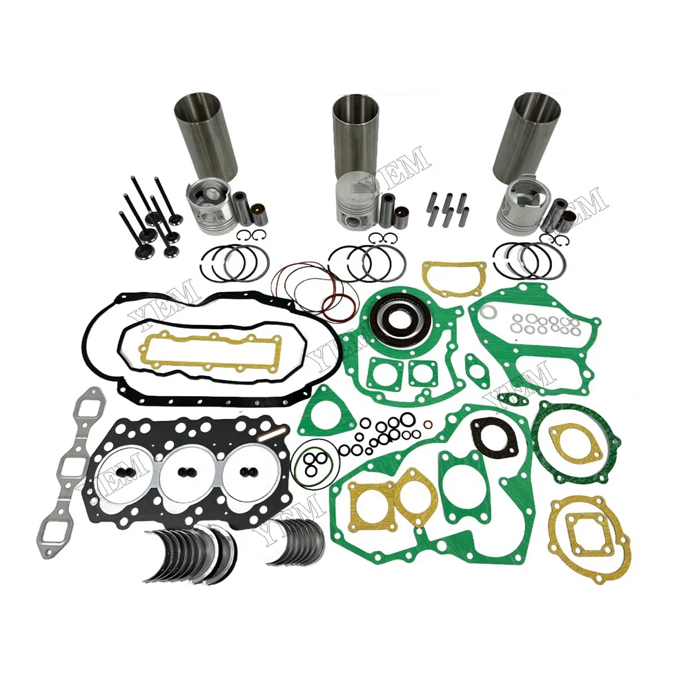 Overhaul Kit With Valves Fit for Mitsubishi S3Q2 Engine