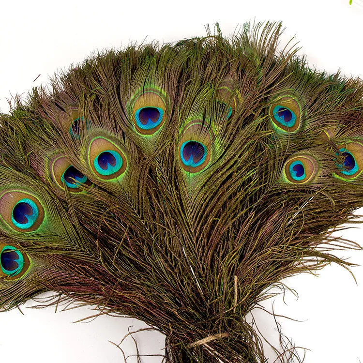 Peacock feather decor stock photo. Image of feather - 111367586