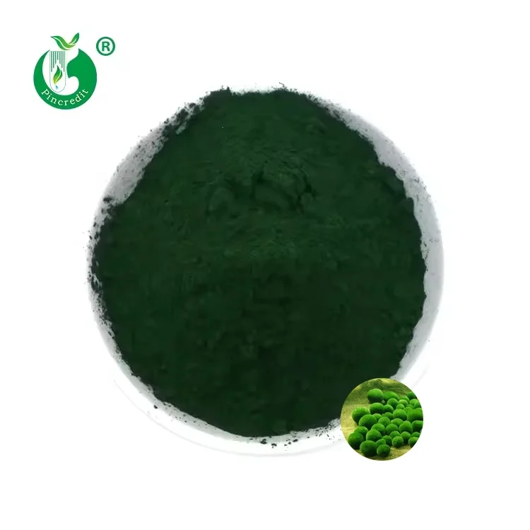 Оптовая цена, порошок из органического натурального экстракта хлореллы с сертификатом USDA