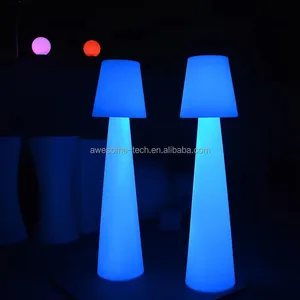 Standing Lamp Decorative Lighting Homestay Hotel Home Living Room Floor Lamp with Remote Control