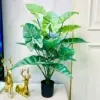 Planta de patata verde claro