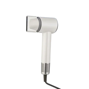 High-Speed Household Hair Dryer with Diffuser Nozzle
