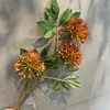 Arancione