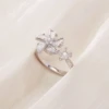 R087-11 Silver 5