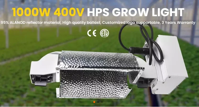 Double Ended HPS Grow Light 480V 400V 380V 1200W 1000W Ballast Grow Light Fixture for Greenhouse