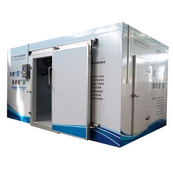 Wholesale Freezing Room 20ft Mobile Container Storage/cold Room Freezer for Fish Vegetable Fruits Ice Cream Walk in Freezer 500