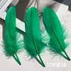 17herbe verte