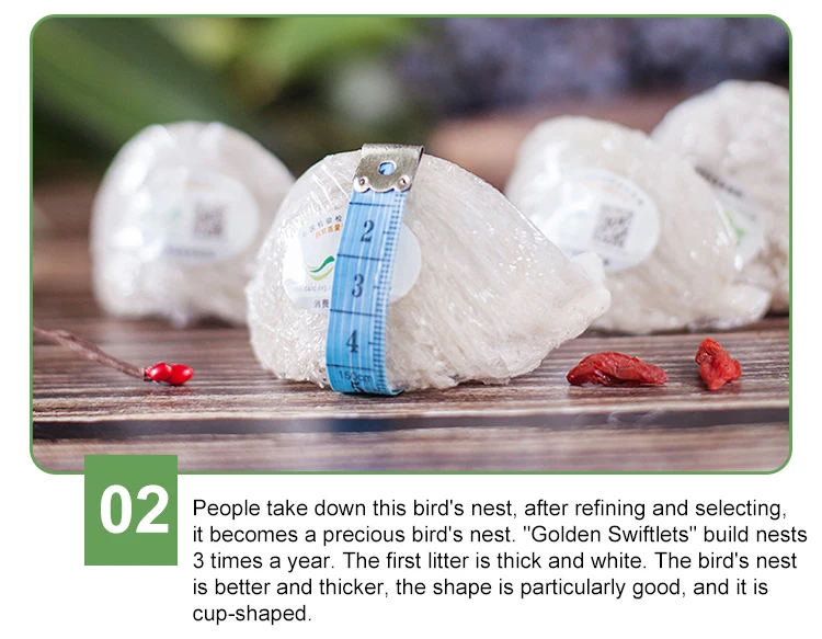 bird nest indonesia
