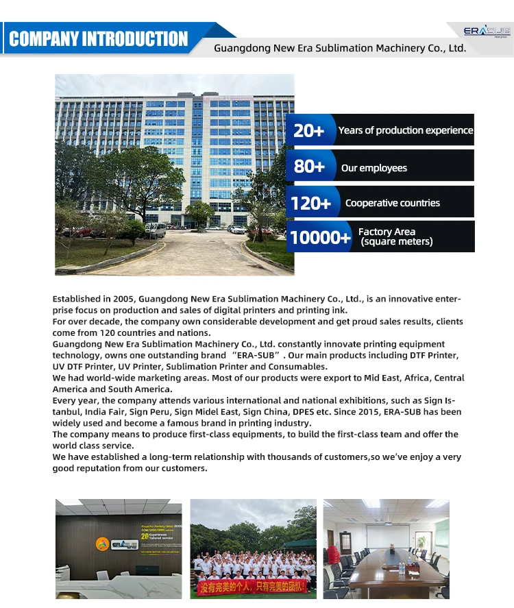 Company overview