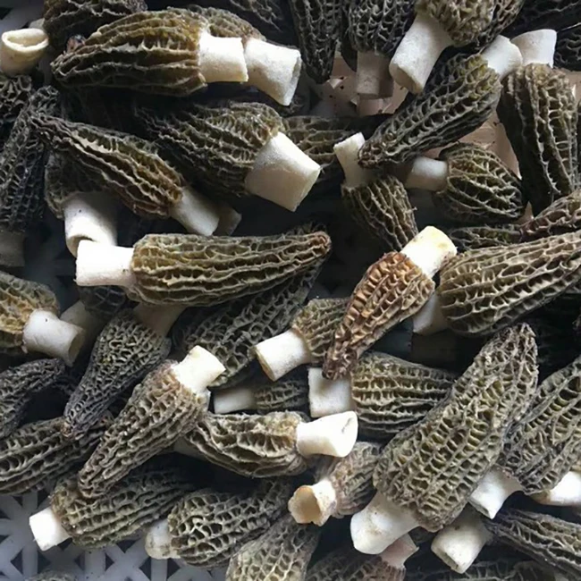 Factory Wholesale Dry Morel Mushroom Shiitake Dried Black Morel