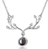 Silver 14