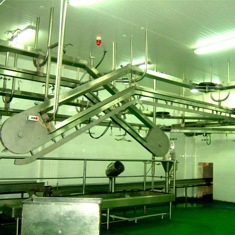 Small ruminant mutton sheep slaughterhouse