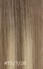 T5-7/20
