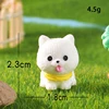 Samoyed