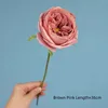 Brown Pink