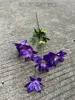 6#-7 Phalaenopsis-Deep Purple