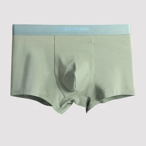 Hygieia Custom Logo Moisture Wicking Boxer Hombre Cotton Underwear Seamless Breathable Antibacterial Boxer Briefs for Men