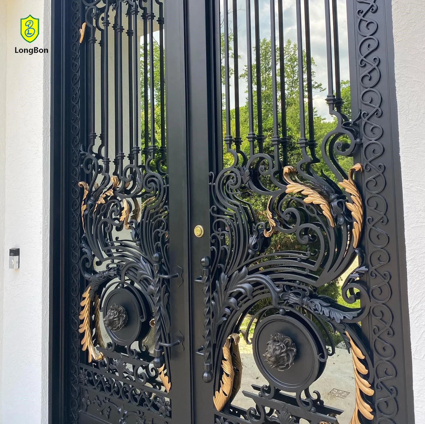 Exceptional Hand Forged Iron Door Celtic Inspired Carvings Exterior for Irish Style Abroad Homes Cultural Charm Strength