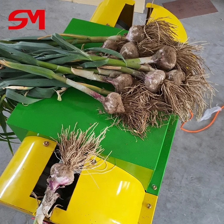 Excellent Cutting Machine Onion Leaf Cutter