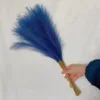 bleu paon