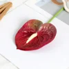 Single film anthurium dark 3