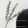3-pronged eucalyptus feel